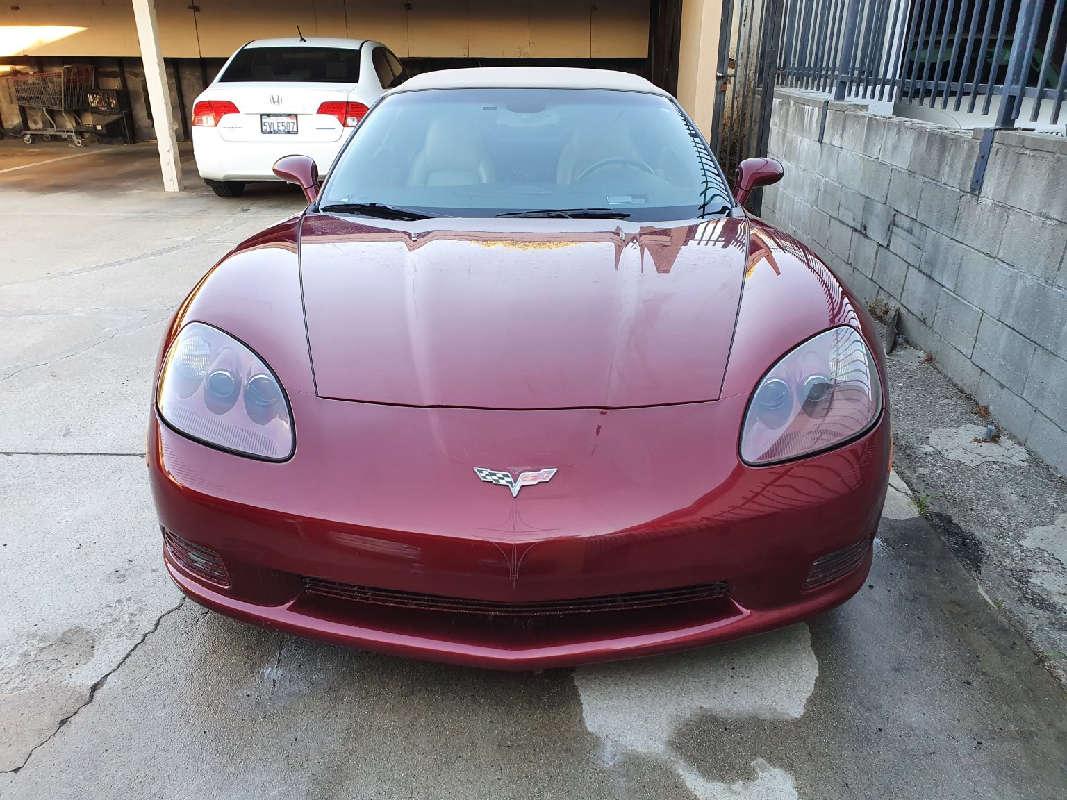 A Red Color Chevrolet Corvette Car Front View Shot